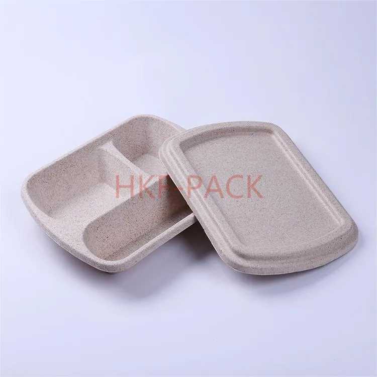 Food Container Pulp Molding